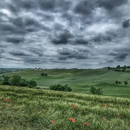 Graziosa Mansarda Country Séjour chez l'habitant Valenza