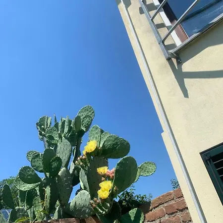 Homestay Graziosa Mansarda Country Valenza
